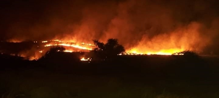 देर रात सामोद पर्वत के जंगलों में लगी भीषण आग (Fire), कई किलोमीटरों तक हुए पेड़-पौधे राख 
